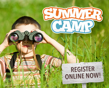 Summer Camp 2026